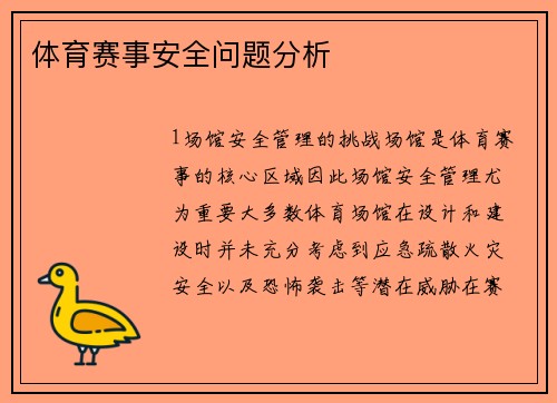 体育赛事安全问题分析