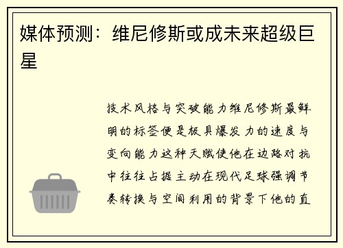 媒体预测：维尼修斯或成未来超级巨星